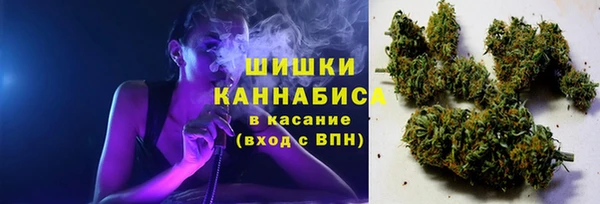 шишки Алексин