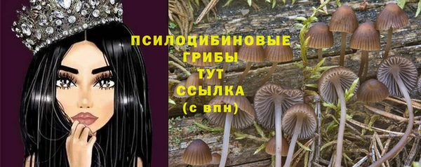 шишки Алексин