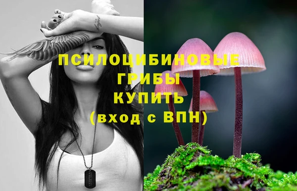 шишки Алексин